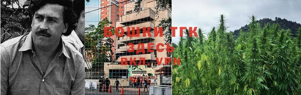 первитин Богданович